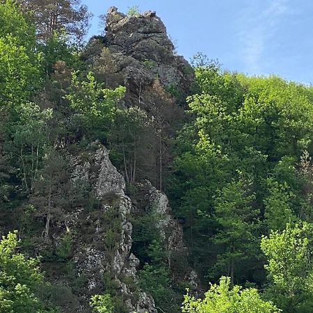 Appartamento Duplex Roca Del Sucut Ribes De Freser Esterno foto